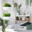 16 indoor hanging plants to decorate