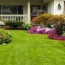 10 tips for making lawn green