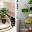 indoor plants ideas to get inspired