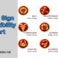zodiac sign compatibility chart