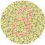 ishihara test for color blindness