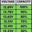 lead acid battery voltage charts 6v