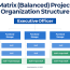 project organizational structure
