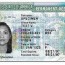 responsibilities as a green card holder