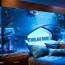 awesome aquarium bed lets you sleep