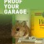 how to get rid of mice in your garage