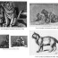 the chartreux cat an early history