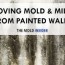 how to remove mold mildew from walls