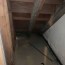 basement waterproofing contractor in