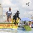 air dogs make a splash in contest