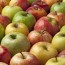 red and green apple nutrition facts