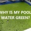 why is my pool water green