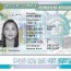 usa green card process and application tips