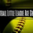 2024 softball little league age chart