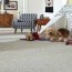 mohawk smartstrand carpet review