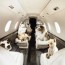 pet friendly charter flights private