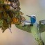 hummingbird spy drone captures
