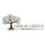 arbor green professional tree service