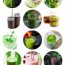 15 glorious green smoothie recipes