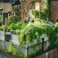 can a green roof be installed anywhere