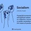 socialism history theory and ysis