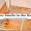musty smells in the house finding