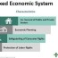 mixed economic system definition