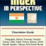 niger in perspective orientation guide
