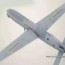 swarm drones india places orders for