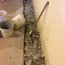basement waterproofing in maplewood