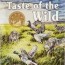 taste of the wild dog food review 2023