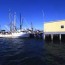 florida memory shrimp boats docked in