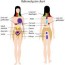 referred pain chart the therapy network