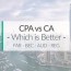 cpa vs ca 2023 chartered accountant