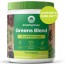 the best green powders of 2023 review