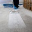 carpet cleaning steam dry canada