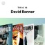 david banner playlist by spotify