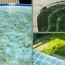 get algae out of a pool without a vacuum