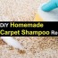 7 diy homemade carpet shampoo recipes