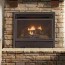 natural gas with a fireplace insert