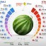 vitamin food chart images browse 4