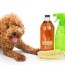 3 natural home remes for fleas