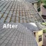 rochester roof cleaning restoration