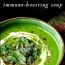 green dess immune boosting soup