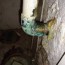 main feed water pipe corrosion through