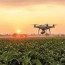 indigo drones farming takes flight