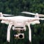 companies are using drones to plant trees