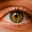 50 new genes for eye colour king s
