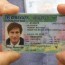 what a real id card could cost you in