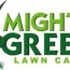 mighty green lawn care lawn care